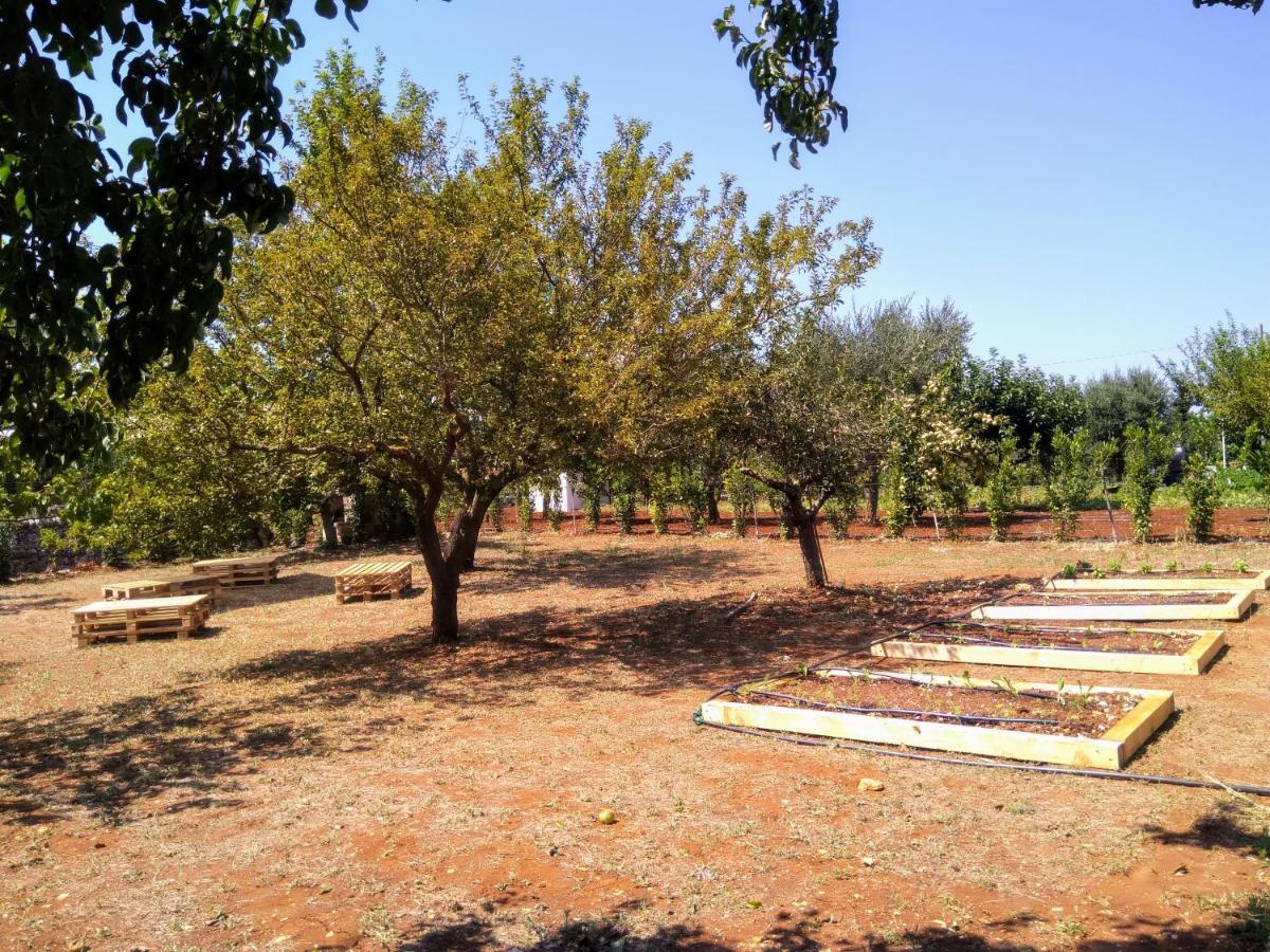 I Colmi - Trulli Suites Martina Franca Buitenkant foto